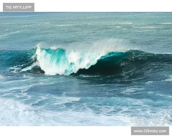 终末海洋·深海电脑攻略秘典 终末海洋·深海电脑攻略秘典